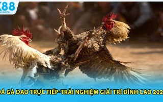 Đá Gà Dao Trực Tiếp-Trải Nghiệm Giải Trí Đỉnh Cao 2025