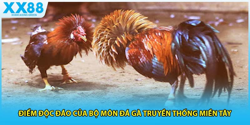 Điểm độc đáo của bộ môn đá gà truyền thống miền tây