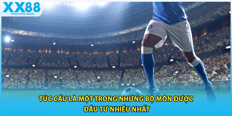 Túc cầu là một trong những bộ môn được đầu tư nhiều nhất